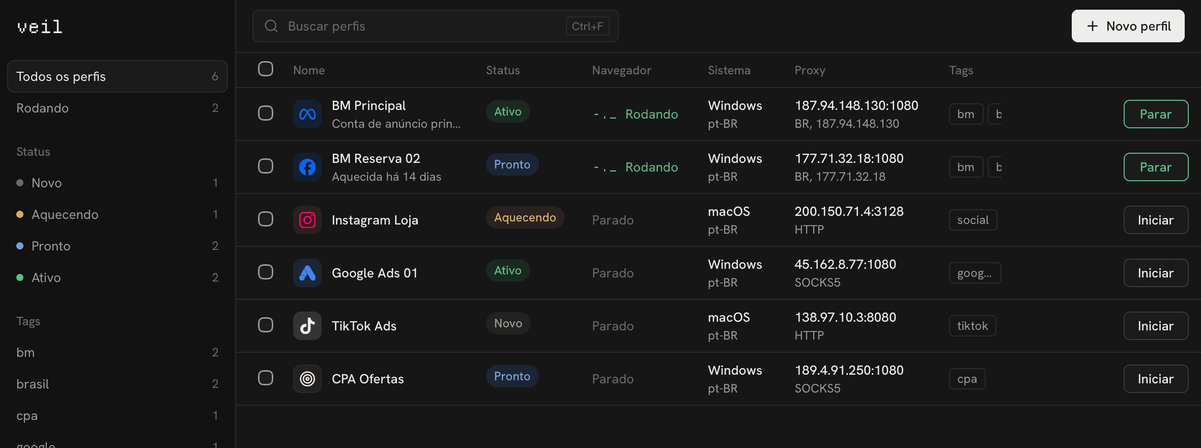 veil profile list with statuses, proxies and running profiles